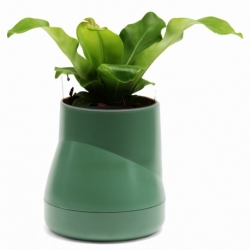 Горшок цветочный hill pot, большой, зеленый, Qualy