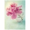 Картина Rose Pastel