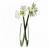 Ваза для высокого букета Flower 41 см, LSA