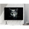 Фотография Felino, Schuller